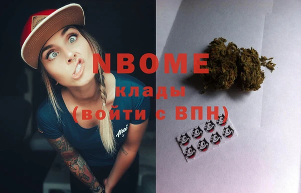 прущие грибы Вязьма
