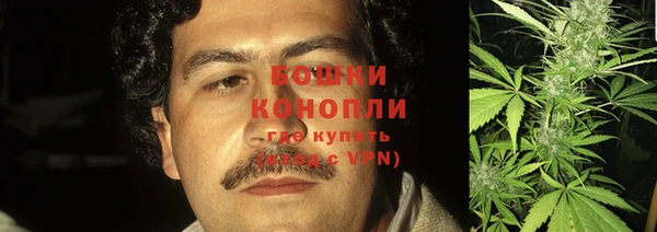 ПСИЛОЦИБИНОВЫЕ ГРИБЫ Вязники