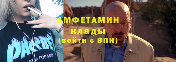 прущие грибы Вязьма