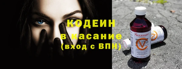 дурь Вяземский