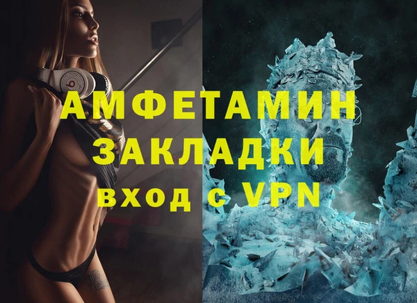 прущие грибы Вязьма