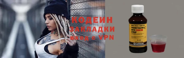 прущие грибы Вязьма