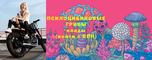 spice Медногорск