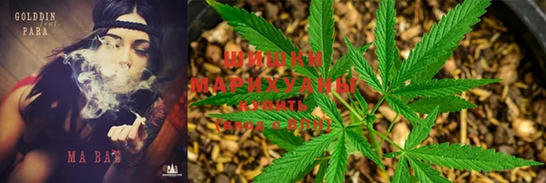 прущий лед Мегион