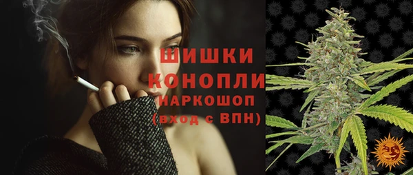spice Медногорск