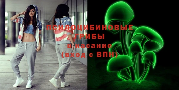 дурь Вяземский