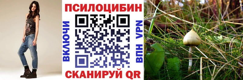 закладка Вытегра Псилоцибиновые грибы ЛСД
