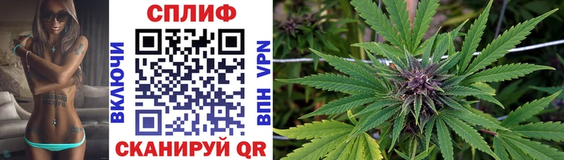 Конопля MAZAR  Вытегра 